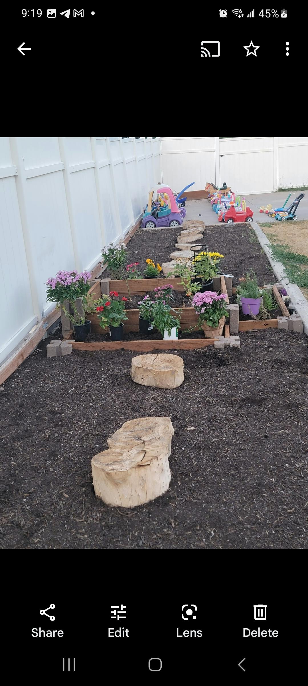 Raised garden beds with flowers and tree stumps on mulched ground