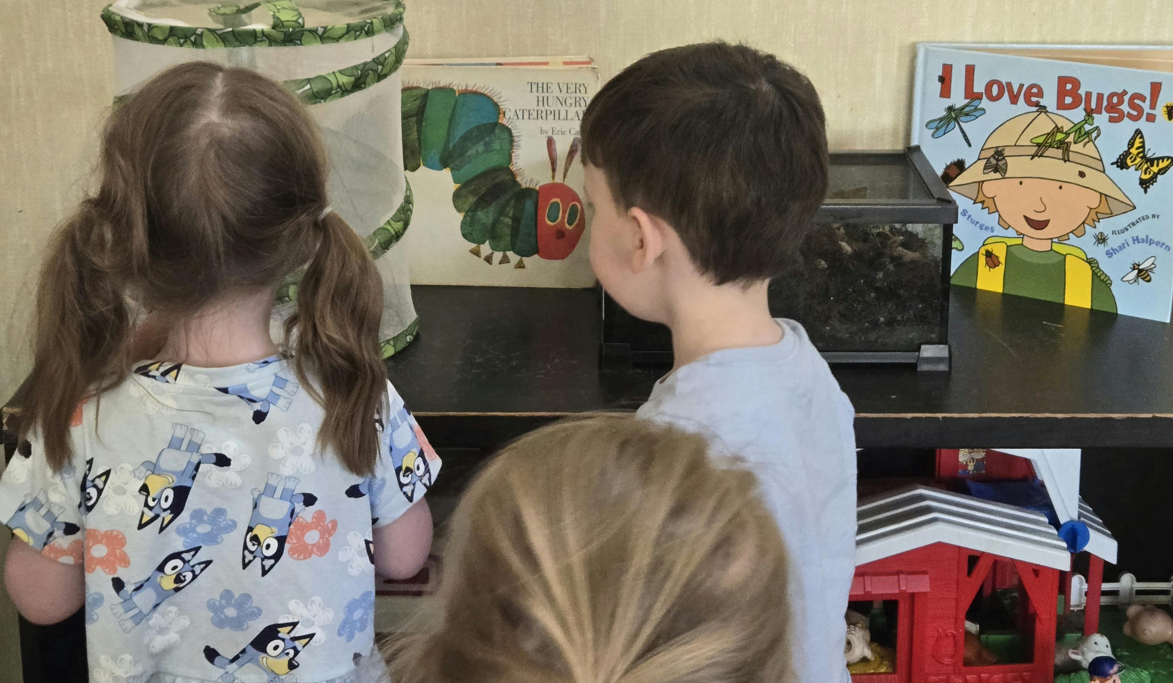 Children looking at books and an insect habitat