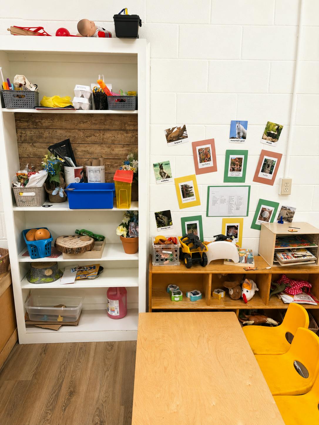 Classroom shelves with educational supplies and animal picture cards on the wall