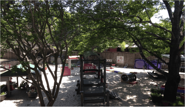 Outdoor playground with trees providing shade
