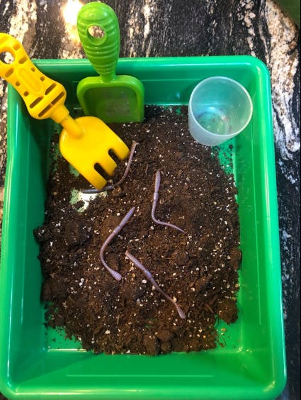 Toy gardening tools and worms in a green tray of soil