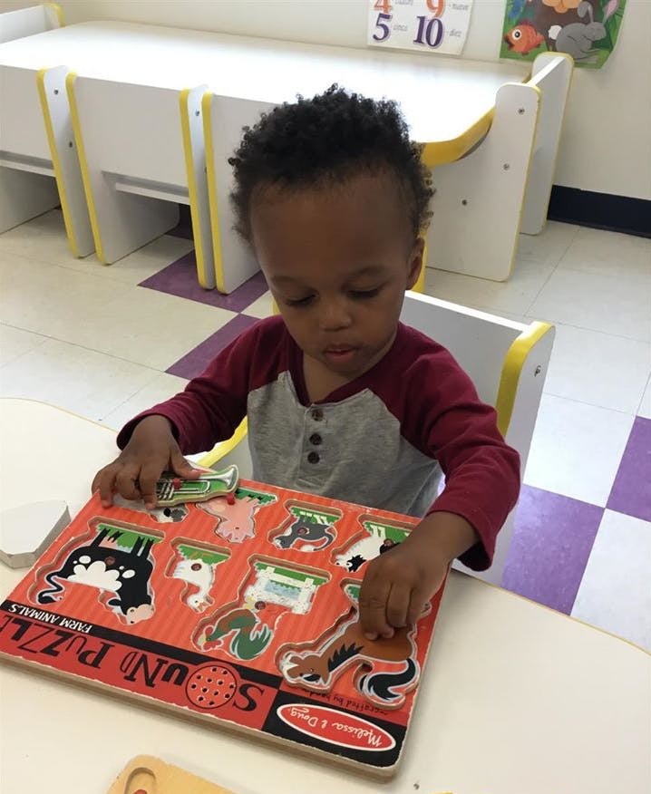 Child playing with a wooden animal puzzle