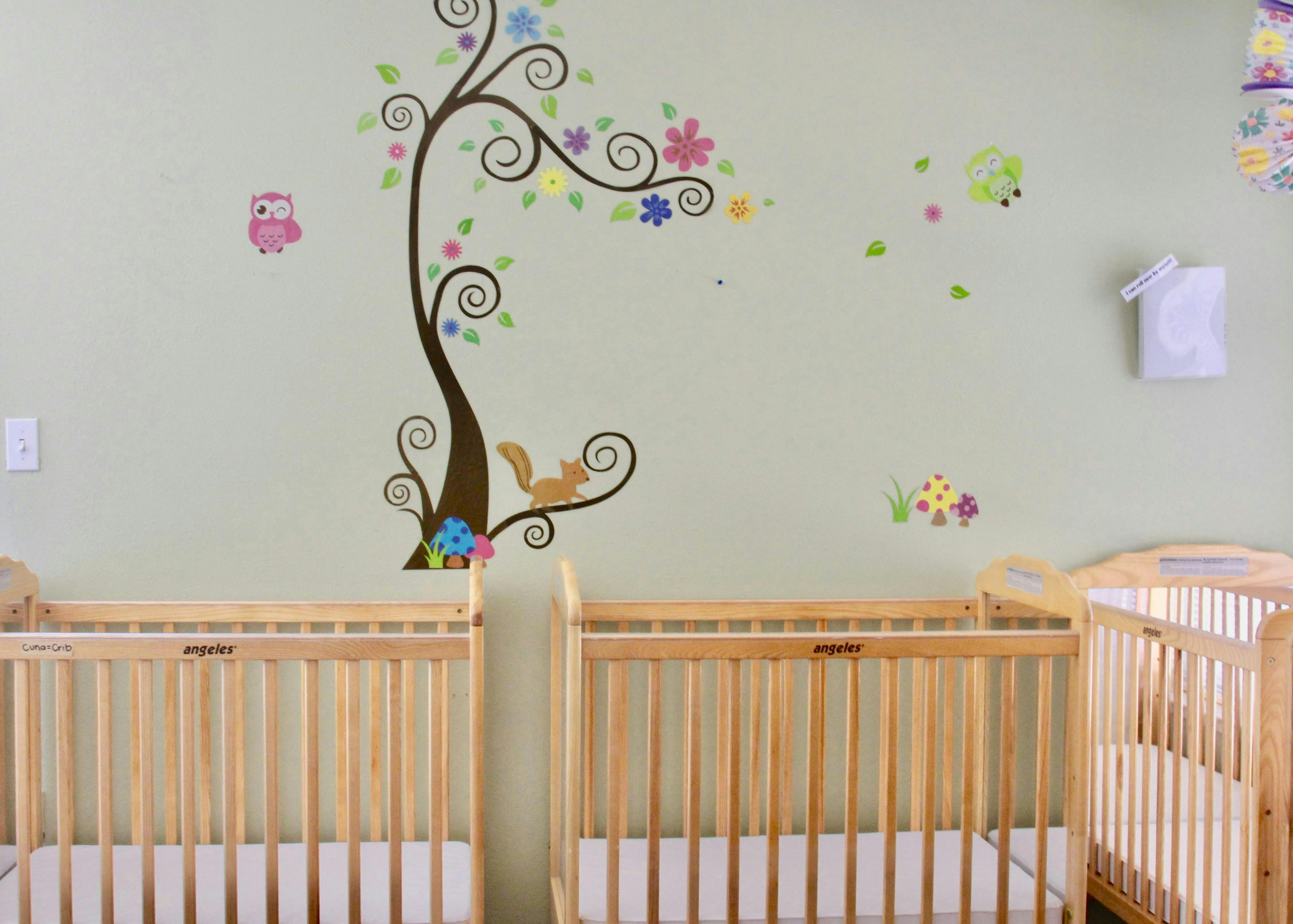 Three wooden cribs in a room with a tree and animal wall decal