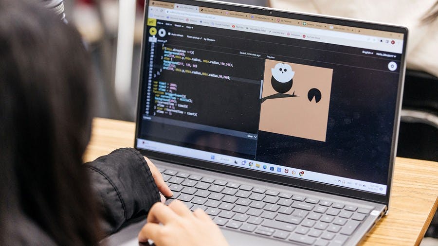 Person coding on a laptop with an owl illustration on the screen