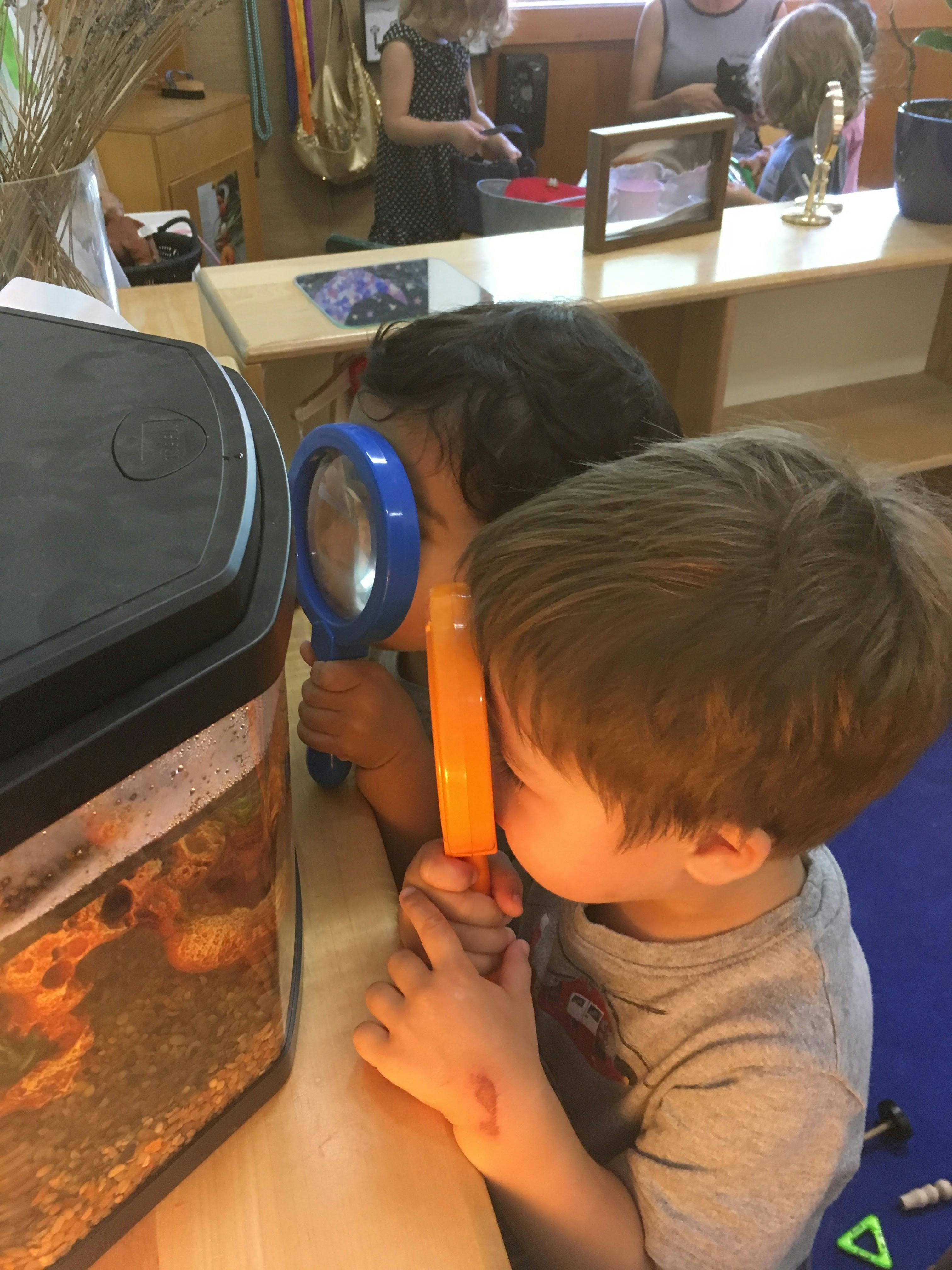 Two children looking into a tank with magnifying glasses