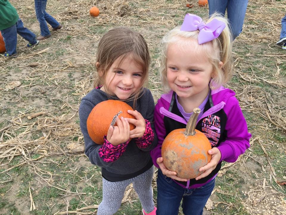 Two children holding pumpkins in a field