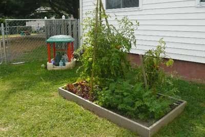 Raised garden bed with plants next to a house