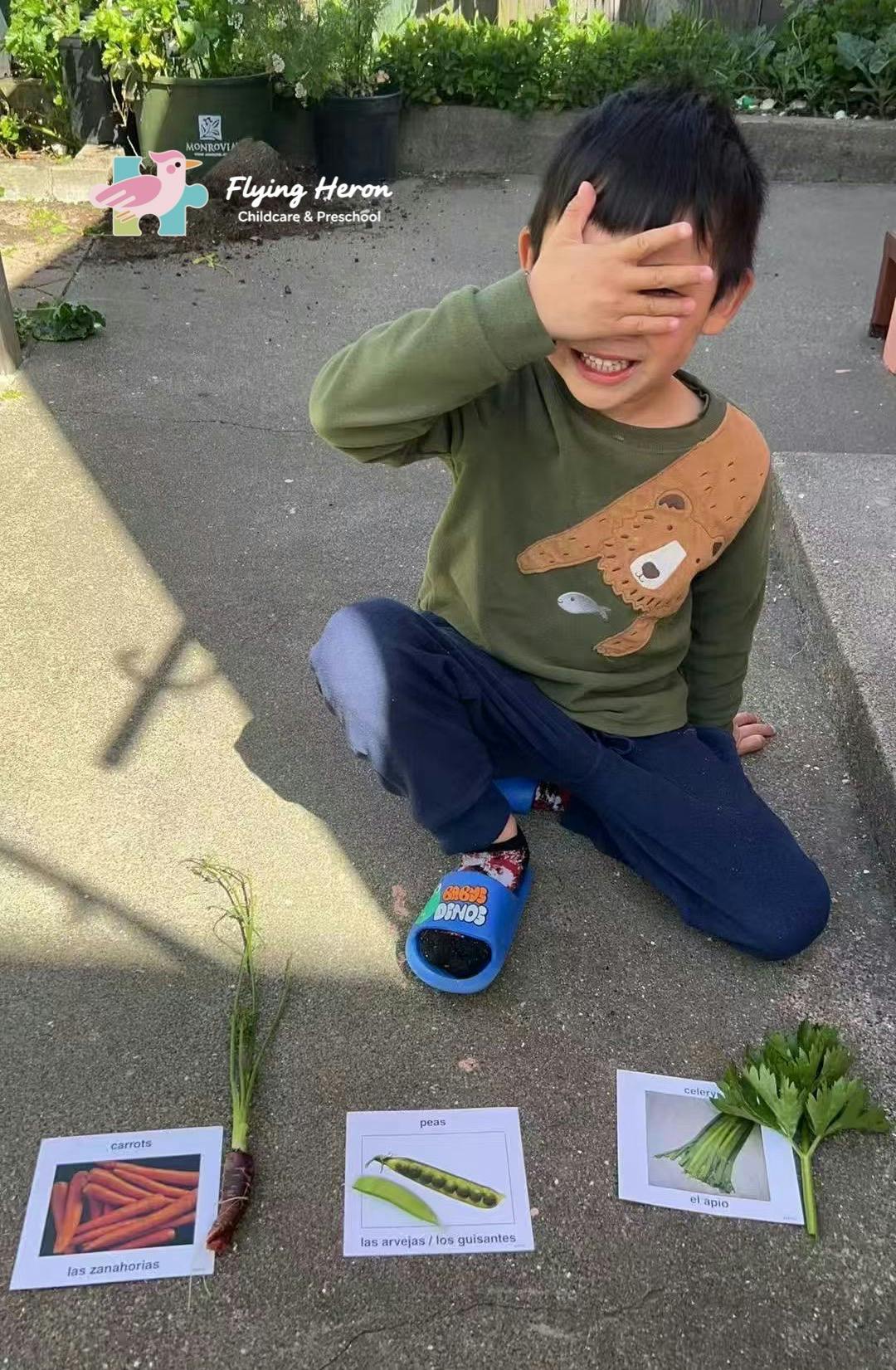 Child covering face with hand, sitting next to vegetable cards and picture cards