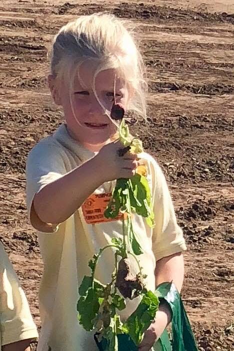 Child holding a plant with roots and leaves