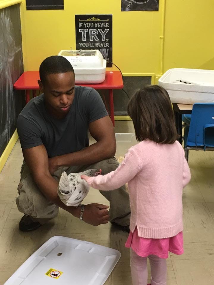 Person holding a bird while a child reaches out to touch it