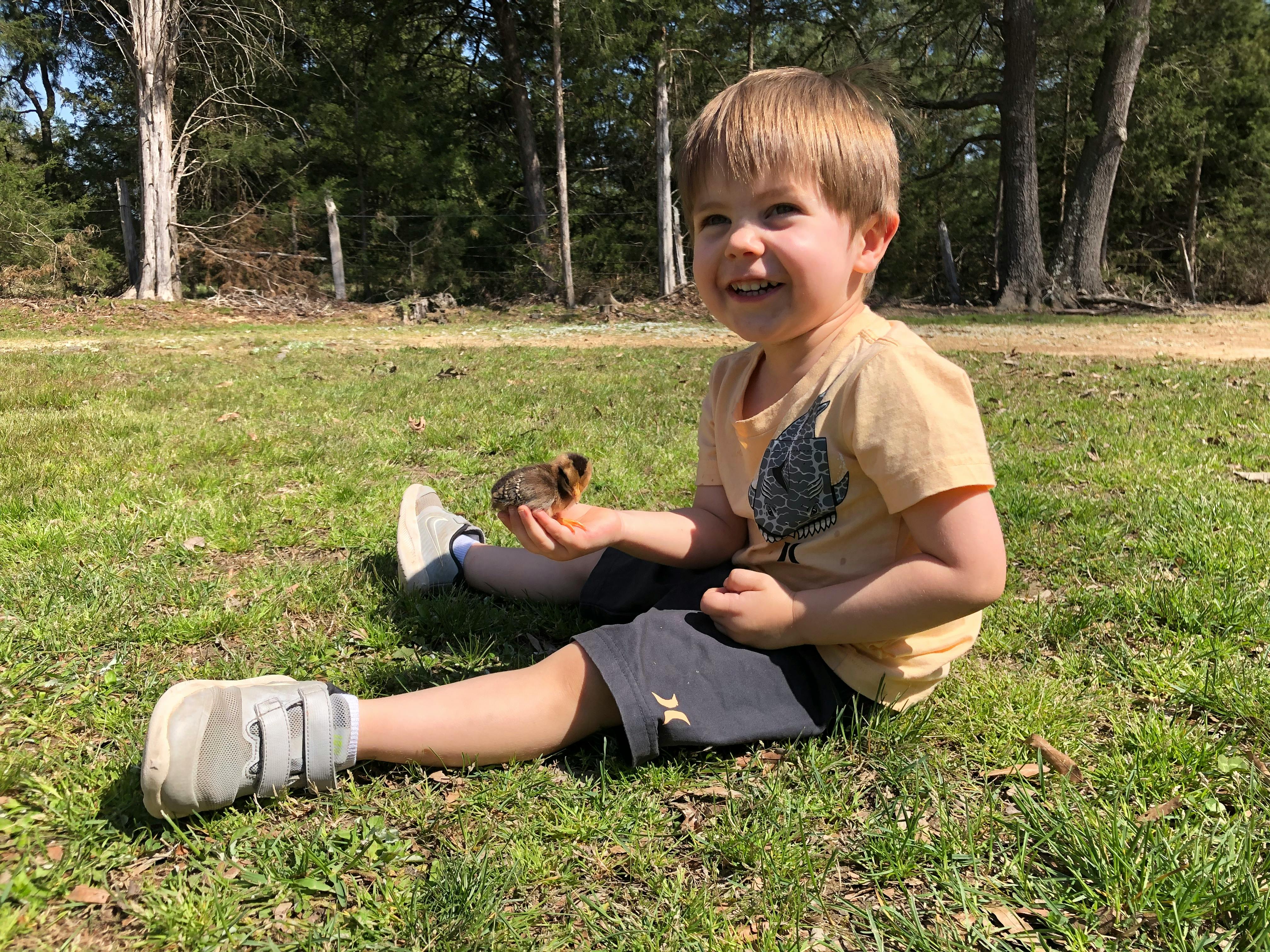 Child sitting on grass holding a small bird