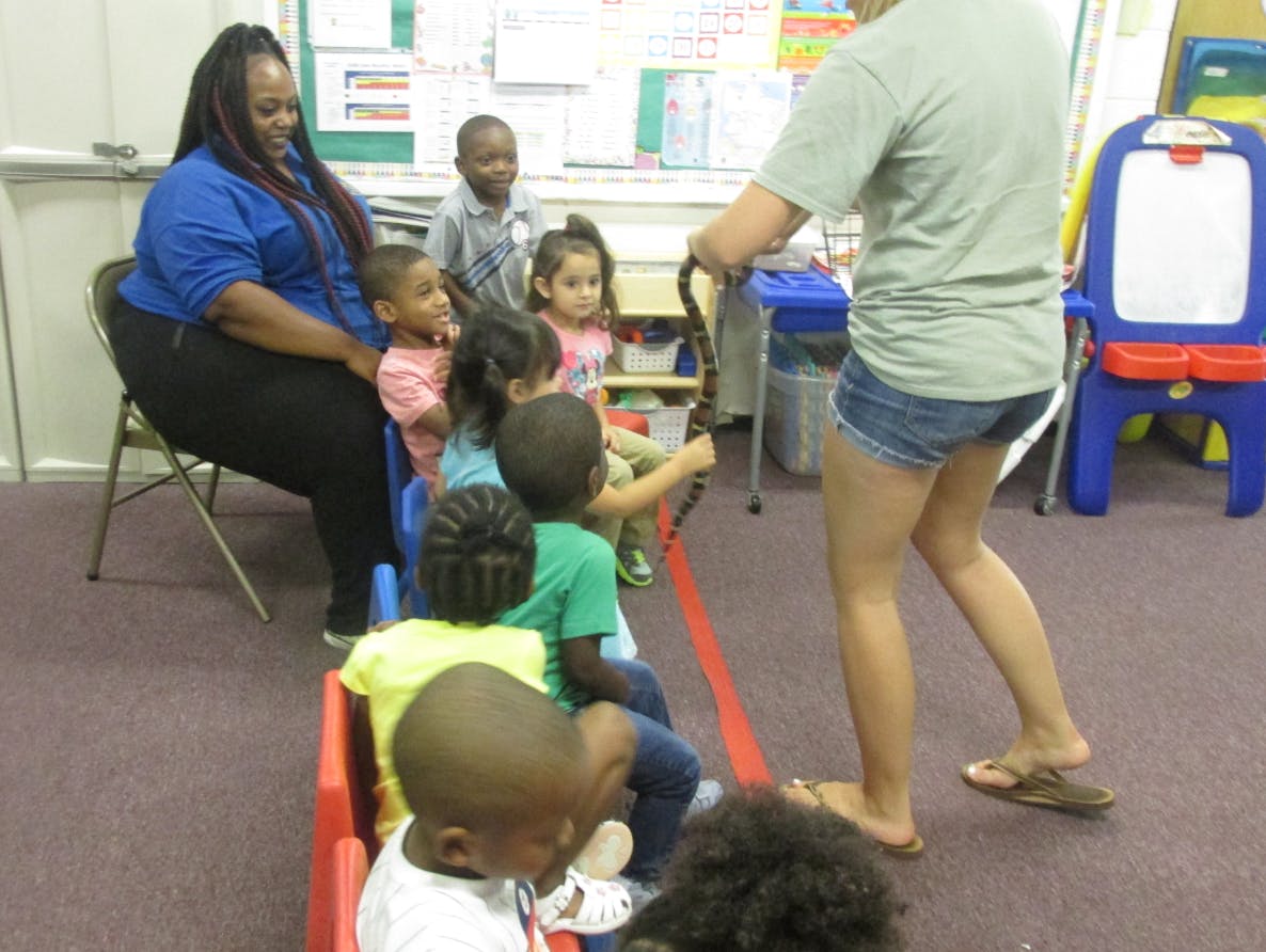 Adult and children in a classroom looking at a snake