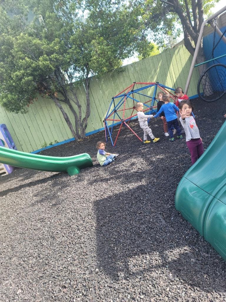 Children playing on a playground with a climbing dome and slides