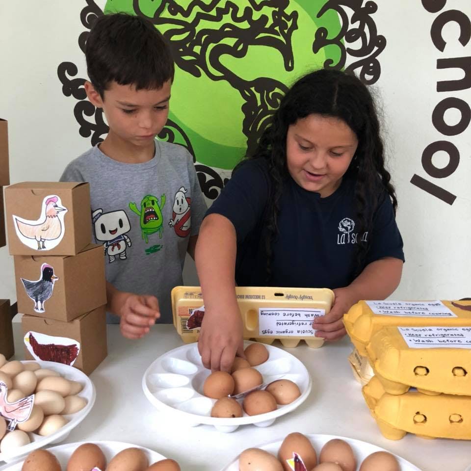 Two children sorting eggs into cartons