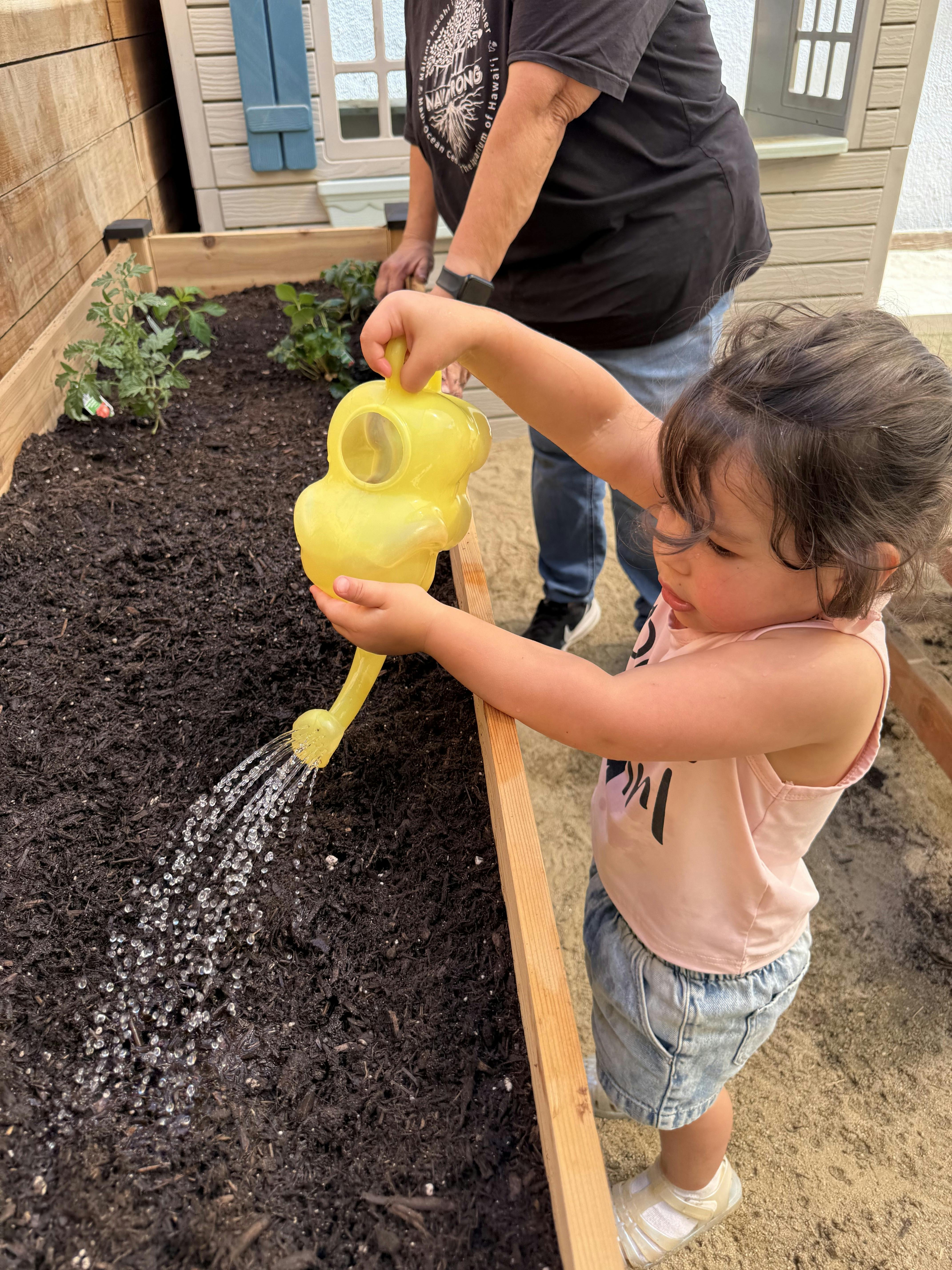 Child watering soil in a garden box