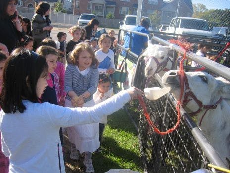 Child feeding a baby goat from a bottle with other children watching