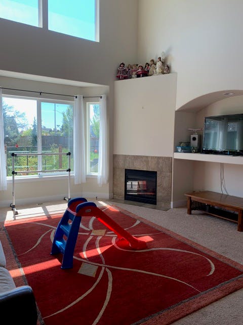 Indoor play slide on a red rug in a living room