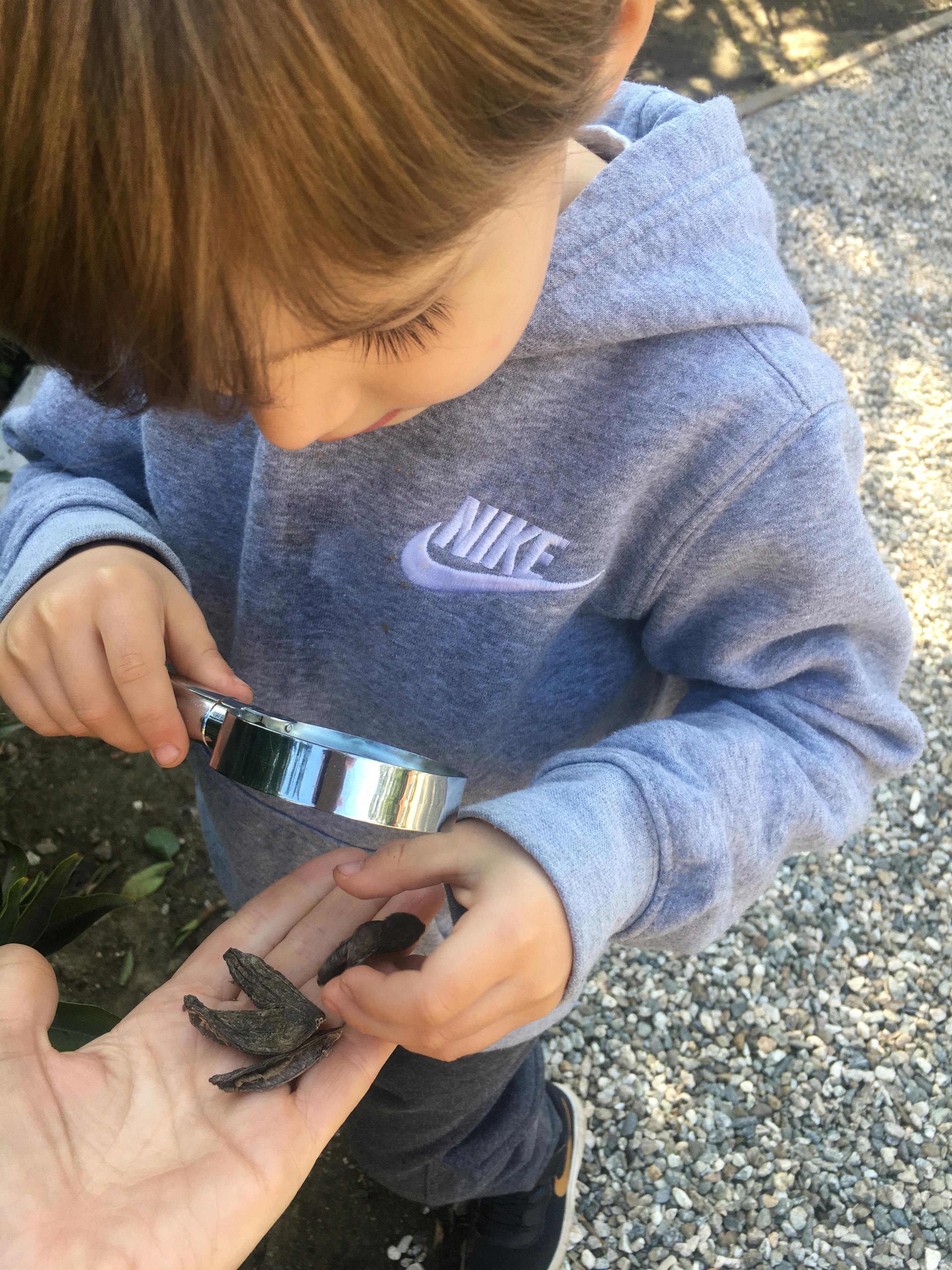 Child looking at objects in a hand with a magnifying glass