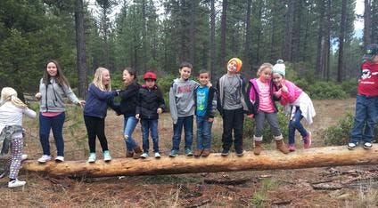 People and children balancing on a fallen log in a forest