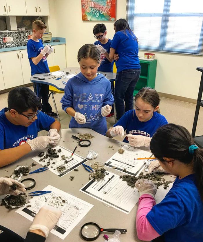 Children in a classroom sorting materials on tables with magnifying glasses