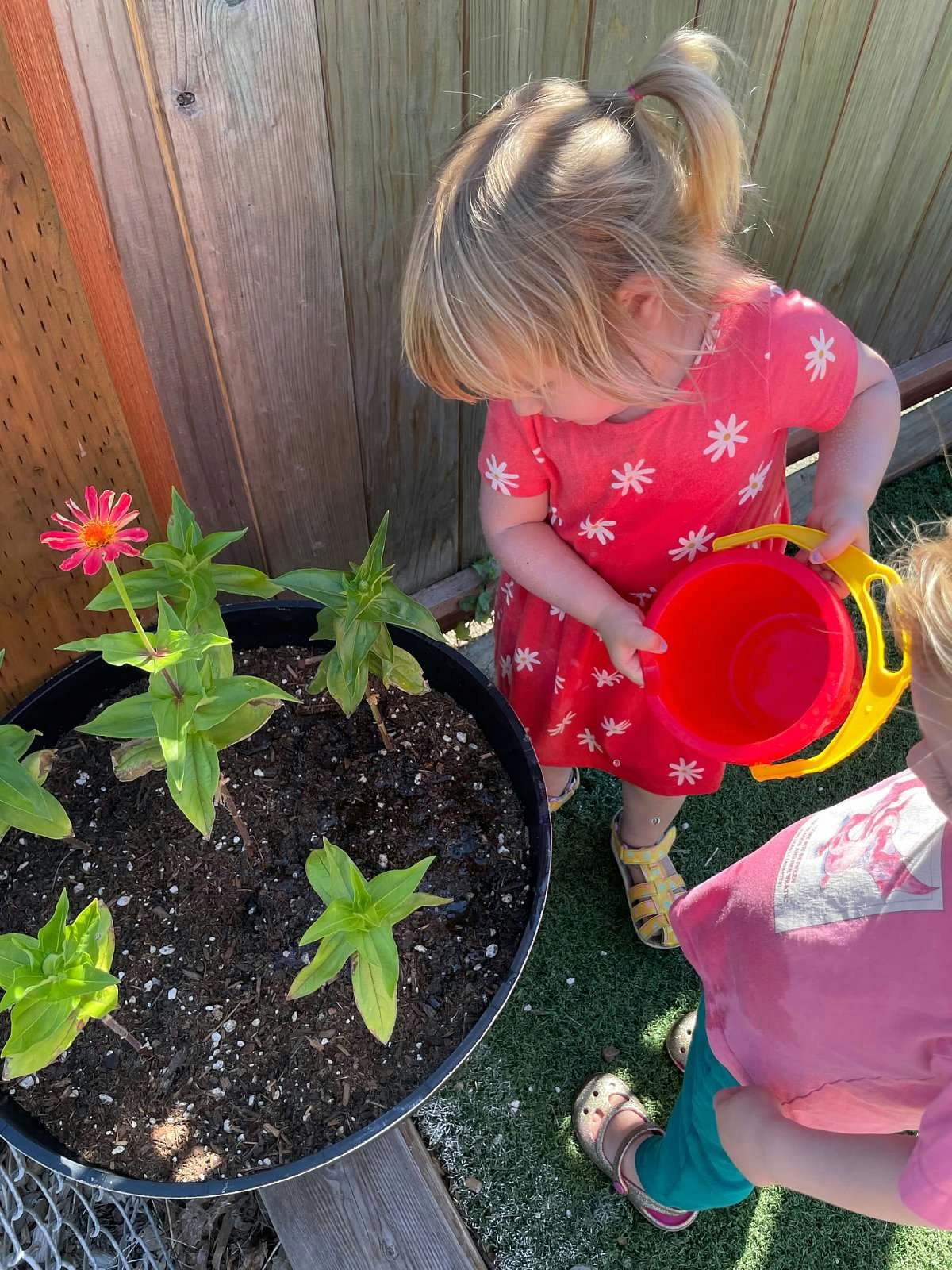 Child watering plants in a pot