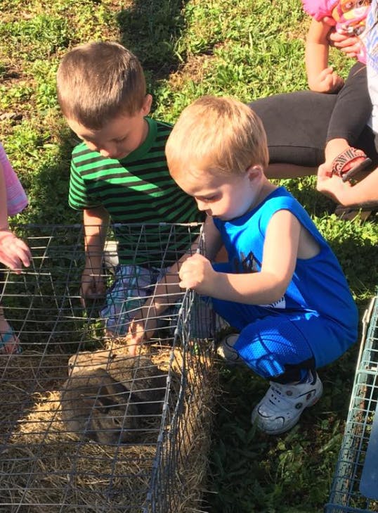 Two children looking into a wire cage with an animal inside