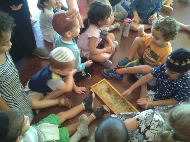Children sitting on the floor around a frame of honeycomb