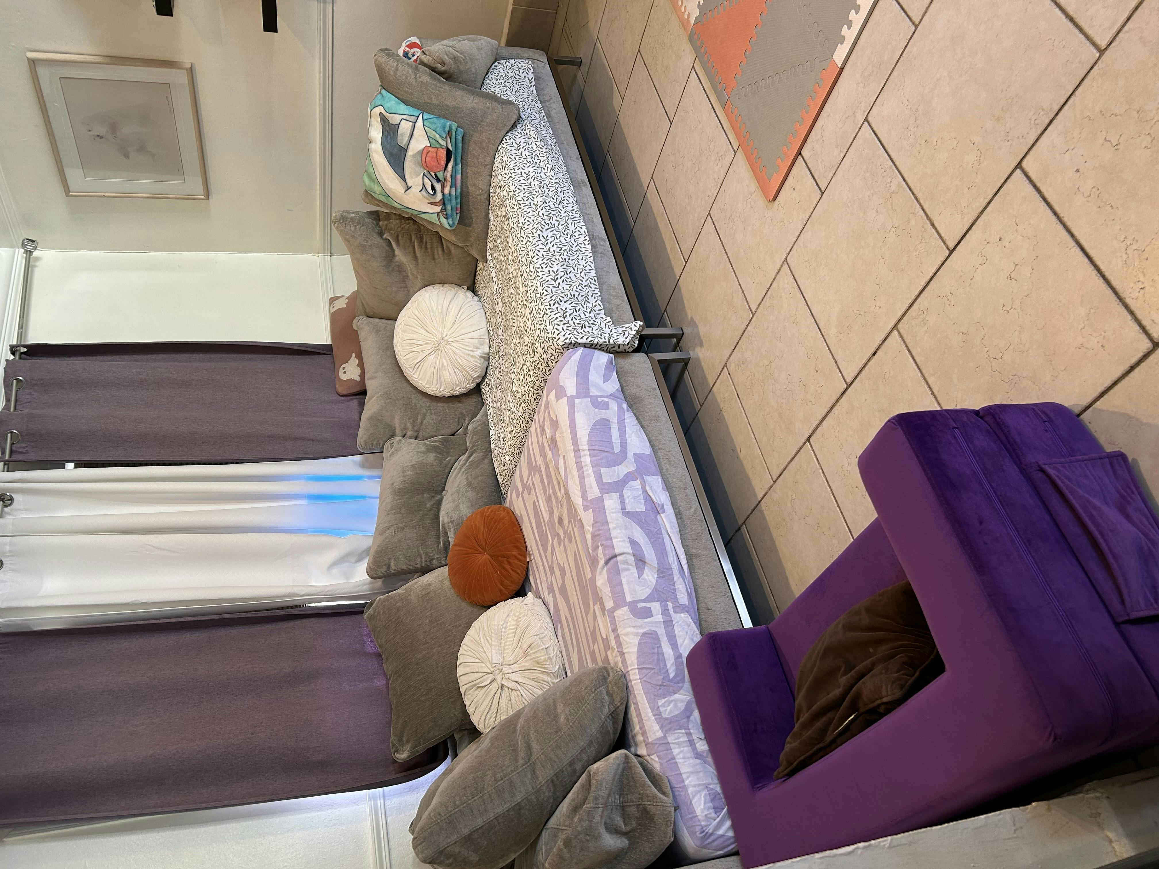 Sofa with pillows and a purple pet bed