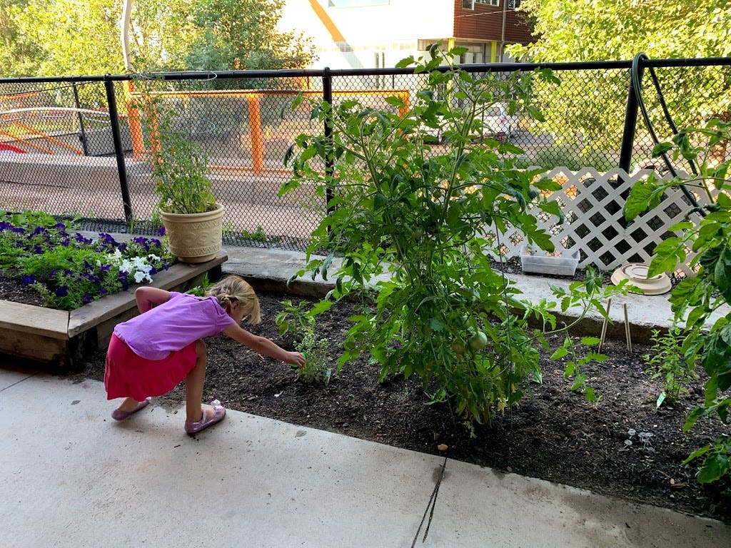 Child bending down to touch plants in a garden
