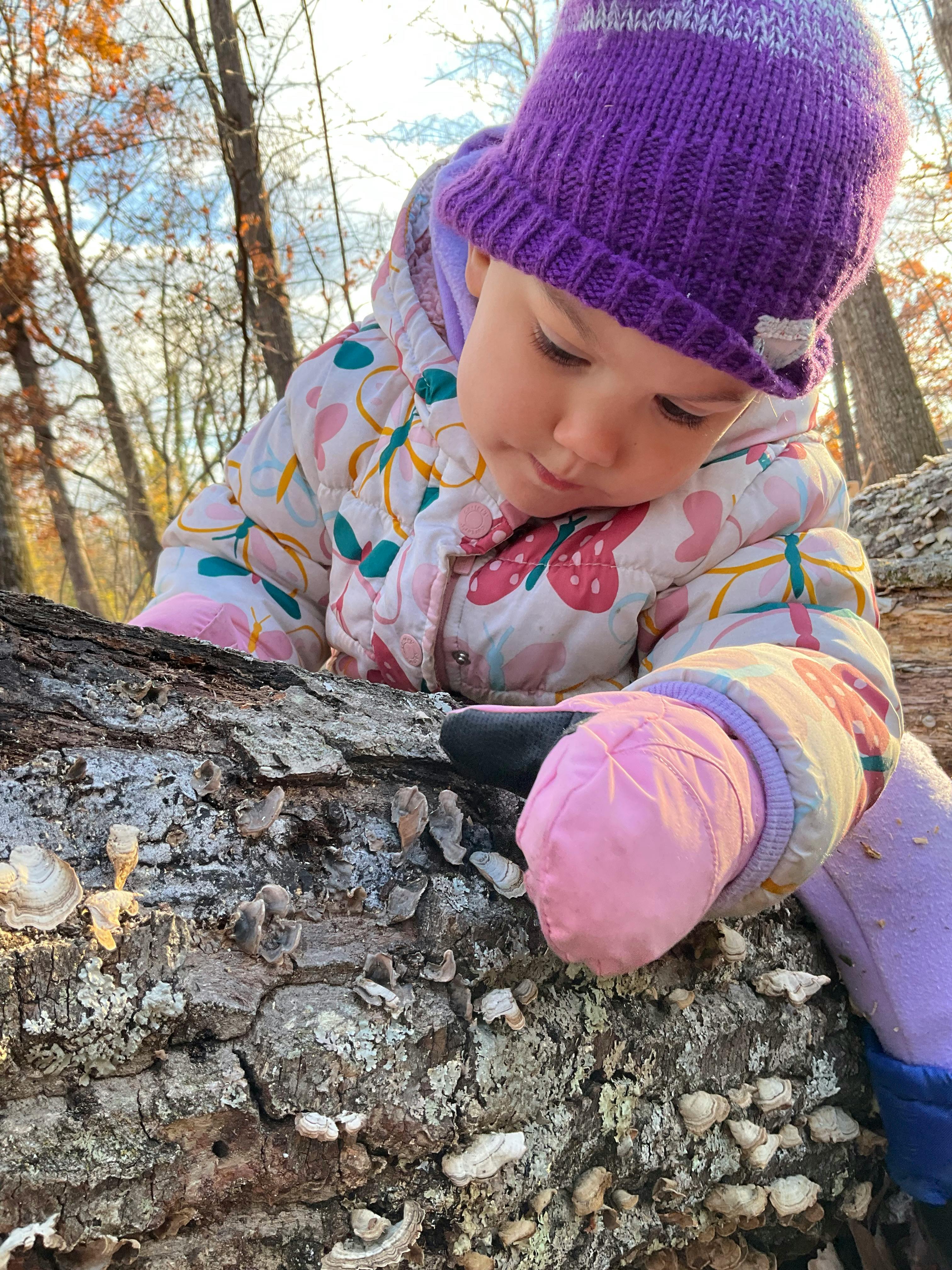 Child in a purple hat looking at a log