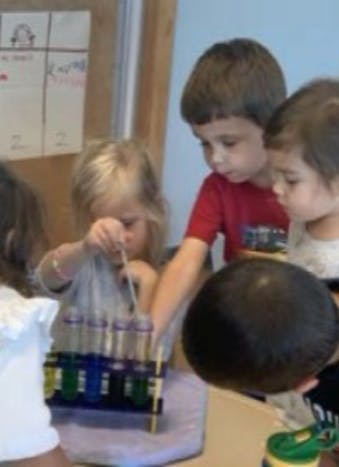 Child using a dropper with test tubes, other children watching
