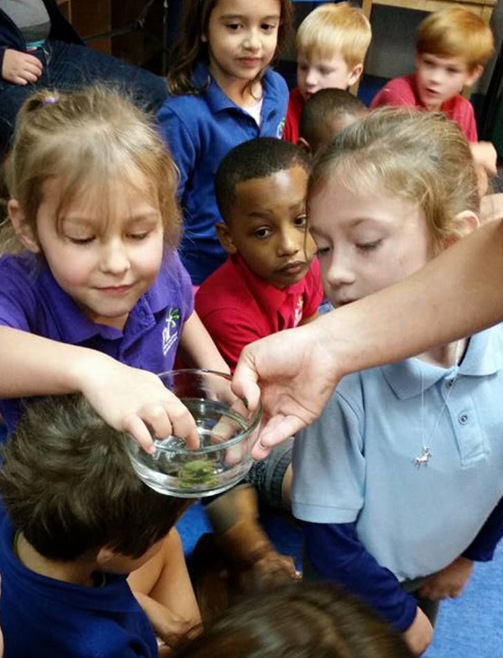 Children gathered around a person holding a small bowl with something inside