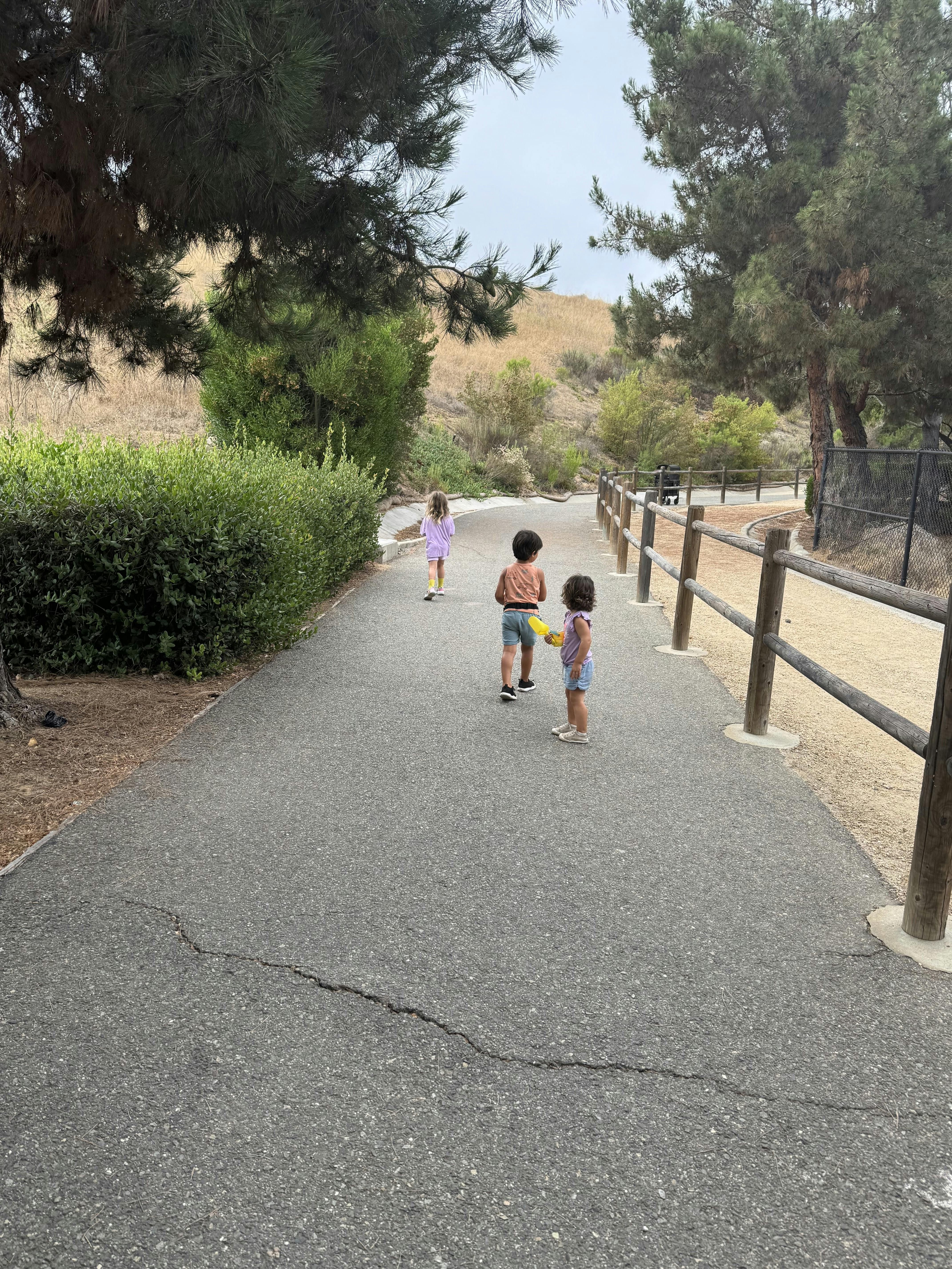 Three children walking on a paved path outdoors
