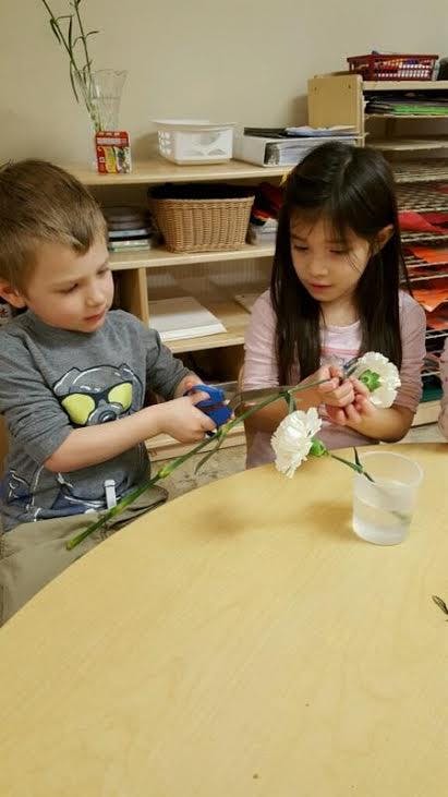 Cadence Academy Preschool in Middlebury, CT