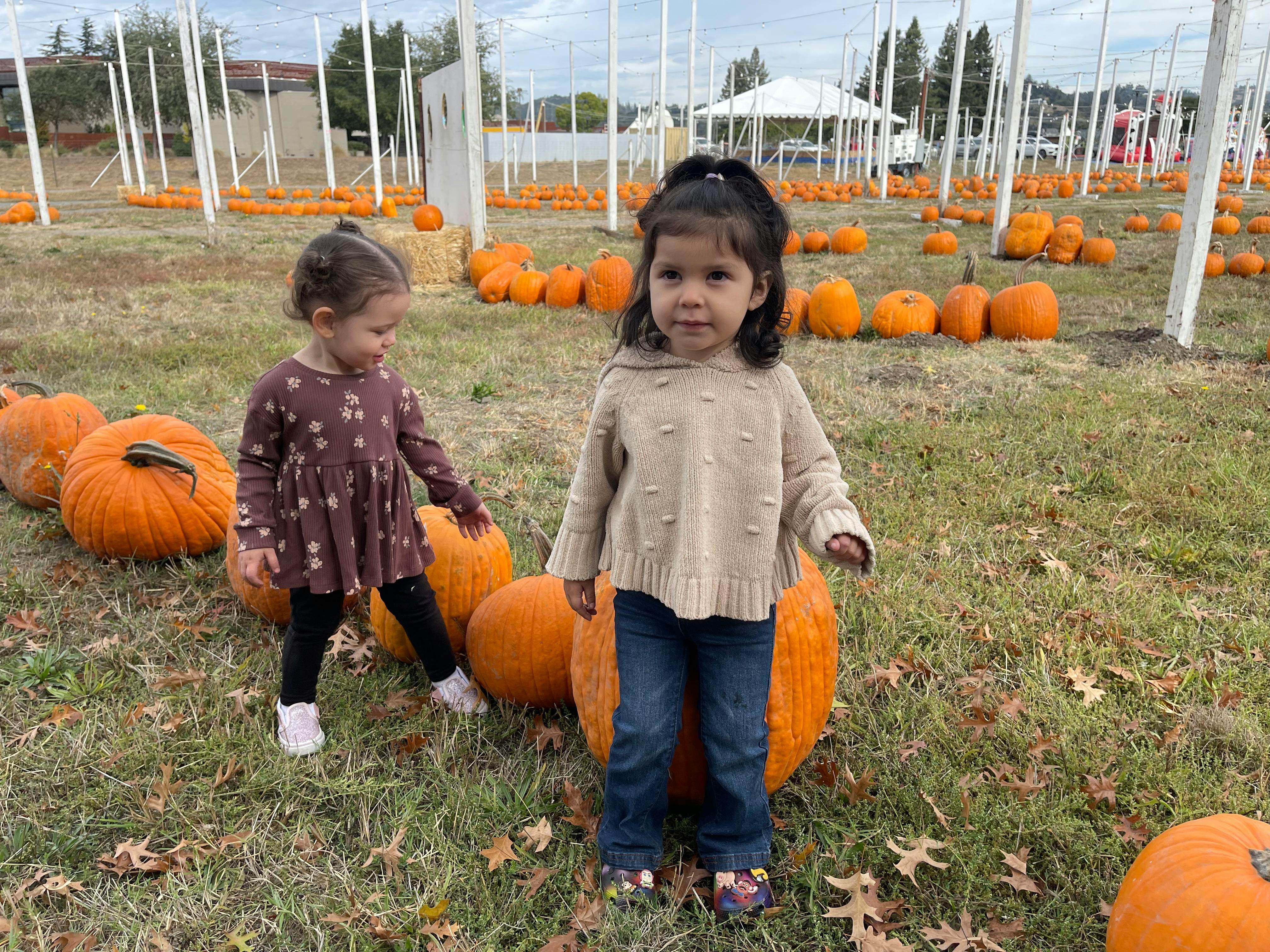 Two children standing among pumpkins in a field