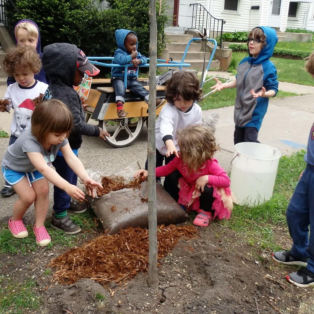 Children planting a tree outdoors