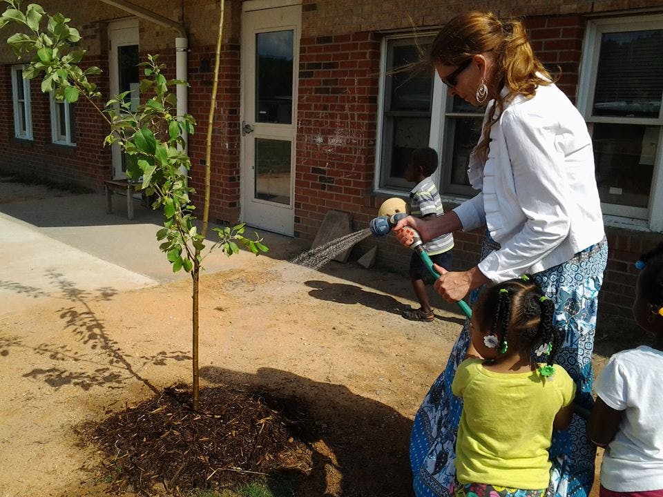 Person watering a newly planted tree with a hose, with children nearby