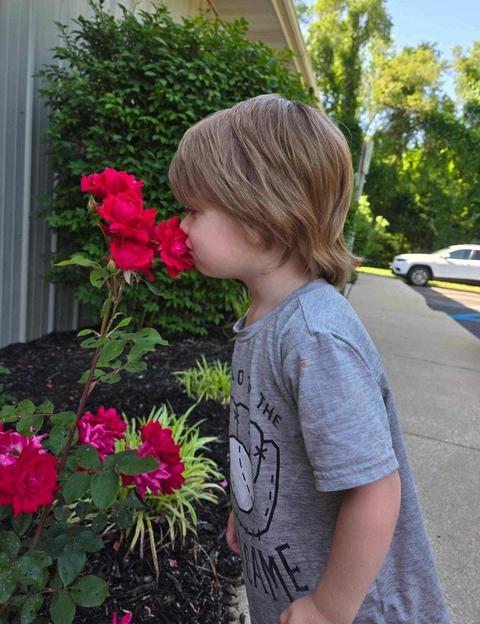 Child smelling a red rose