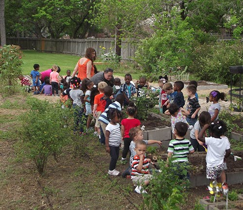 Adults and children gathered around garden beds