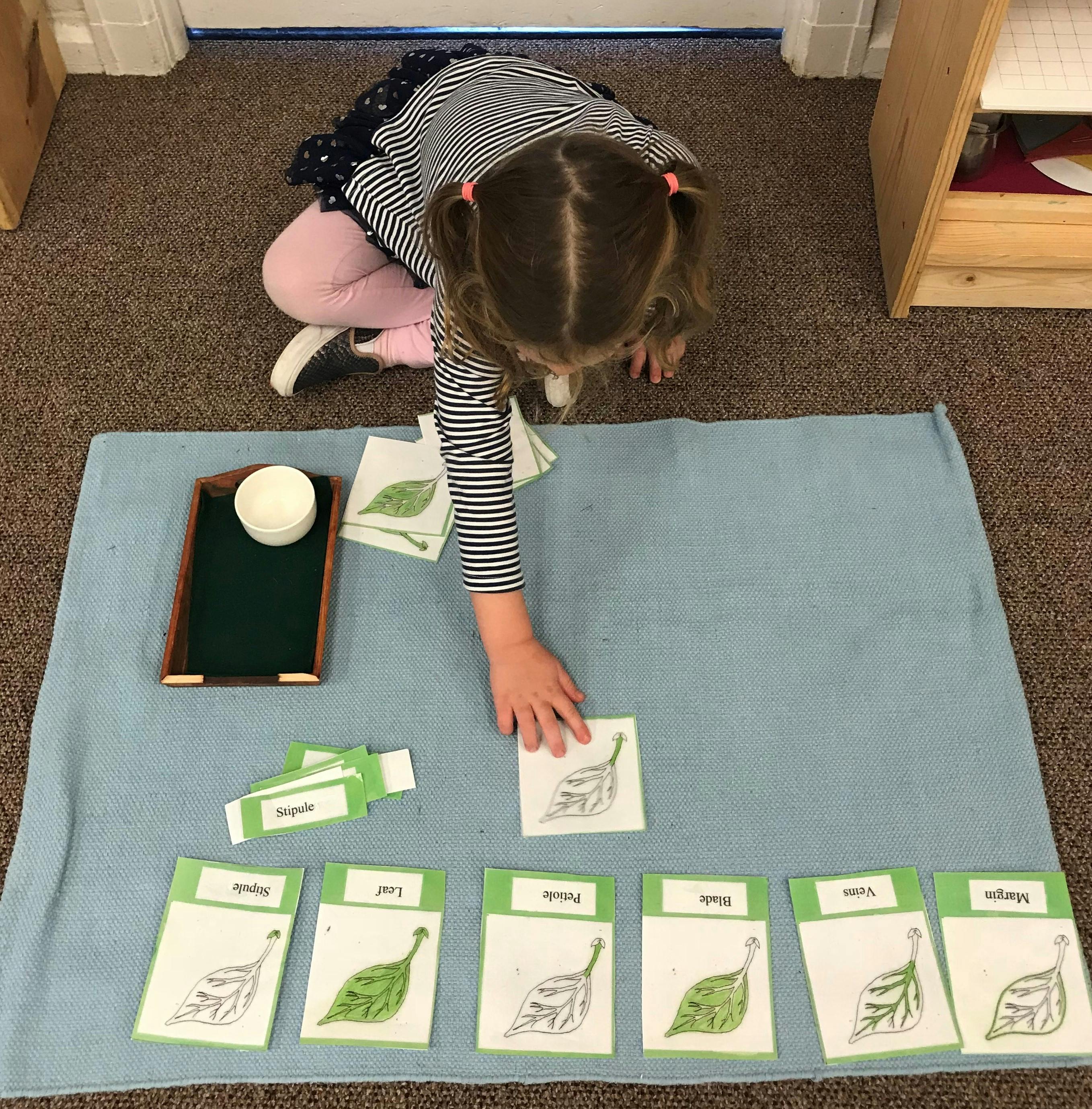 Child on floor arranging cards with leaf illustrations
