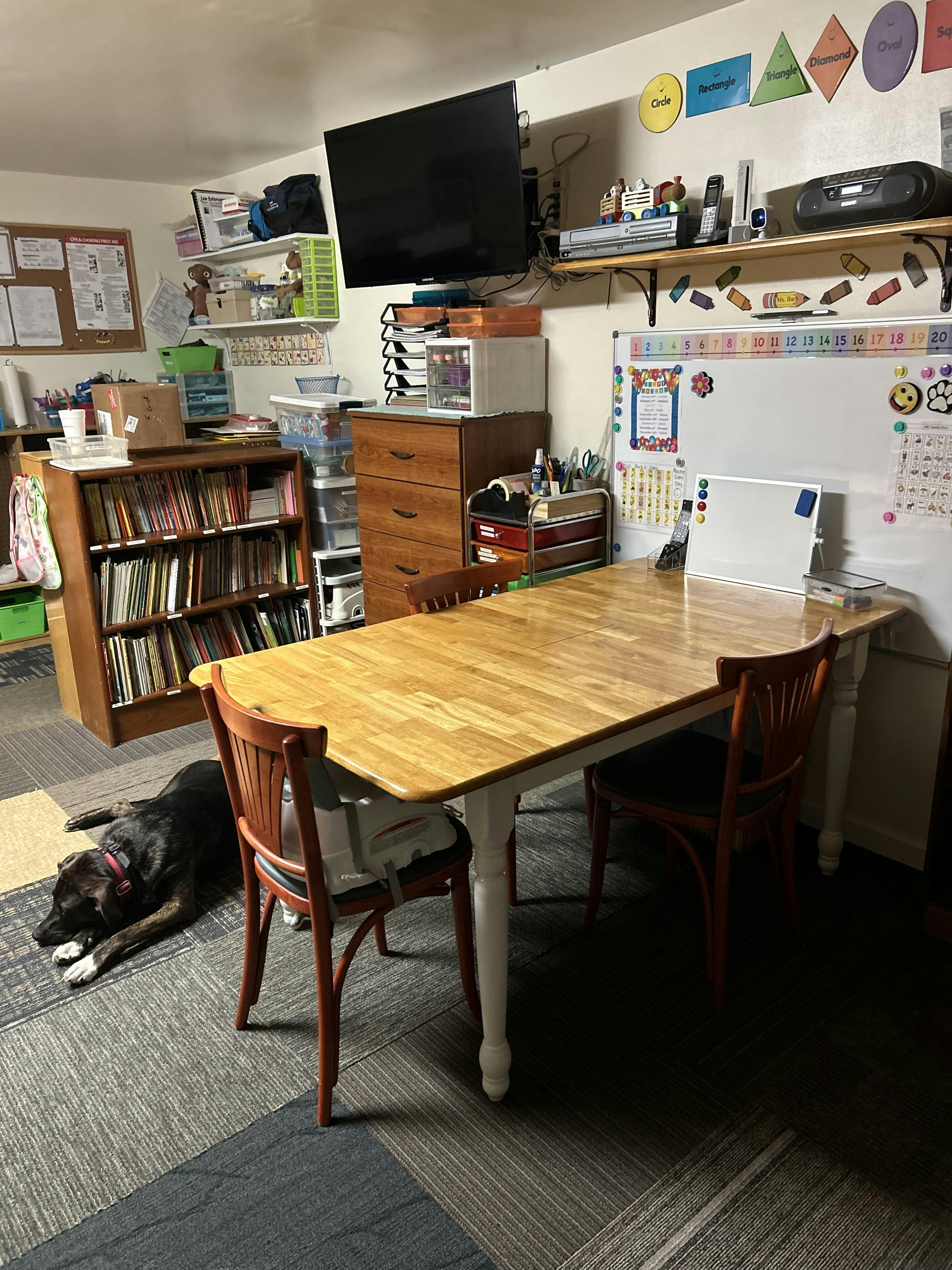 Dog lying on the floor in a room with a wooden table and bookshelf