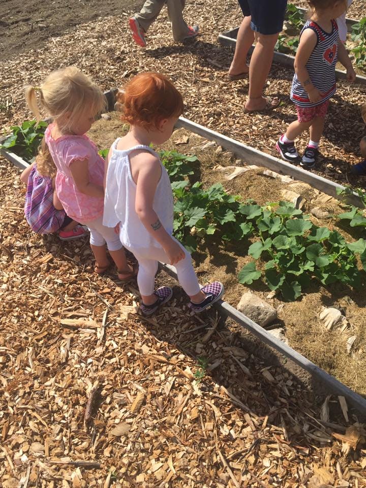 Two children looking at plants in a garden bed