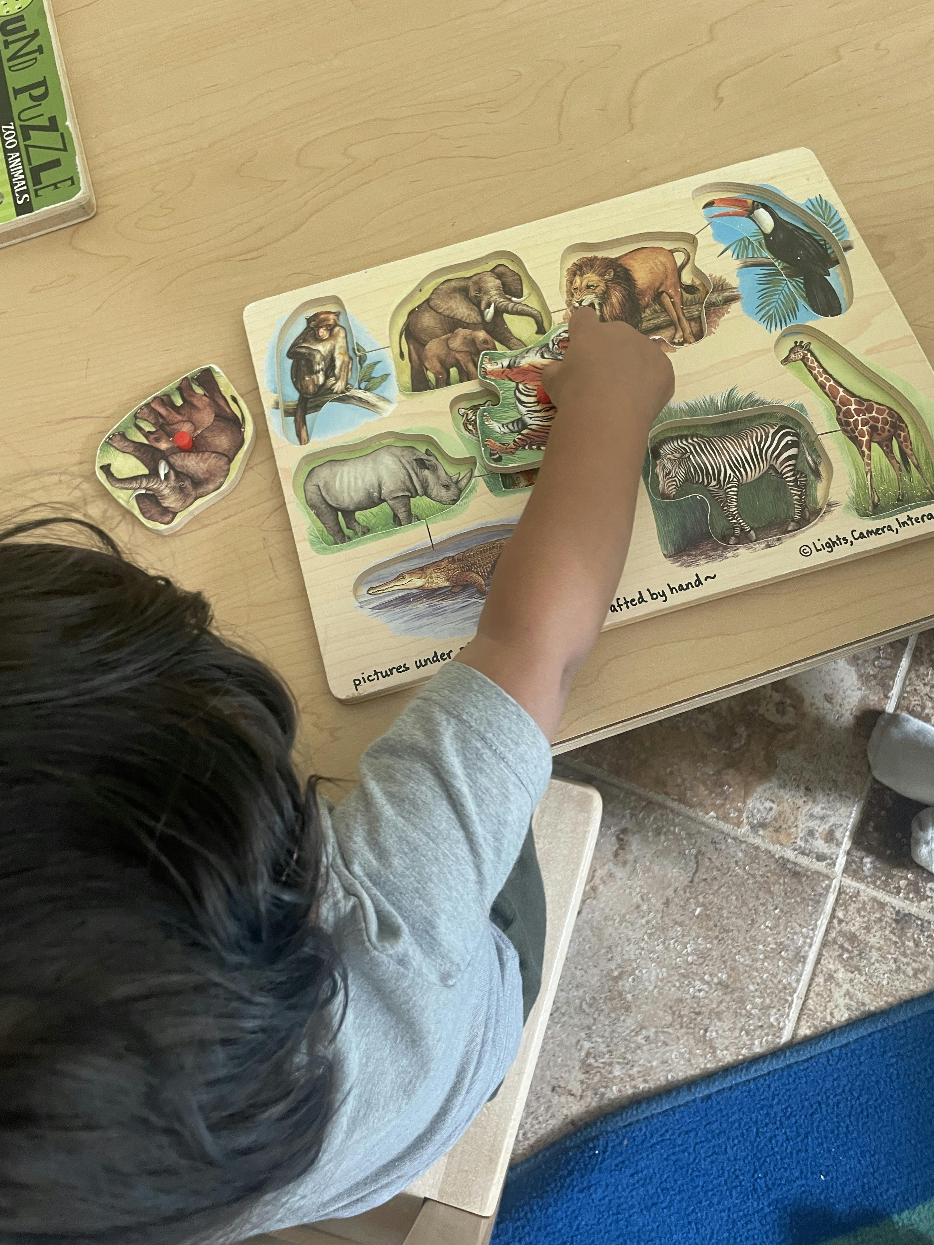 Child playing with a wooden animal puzzle