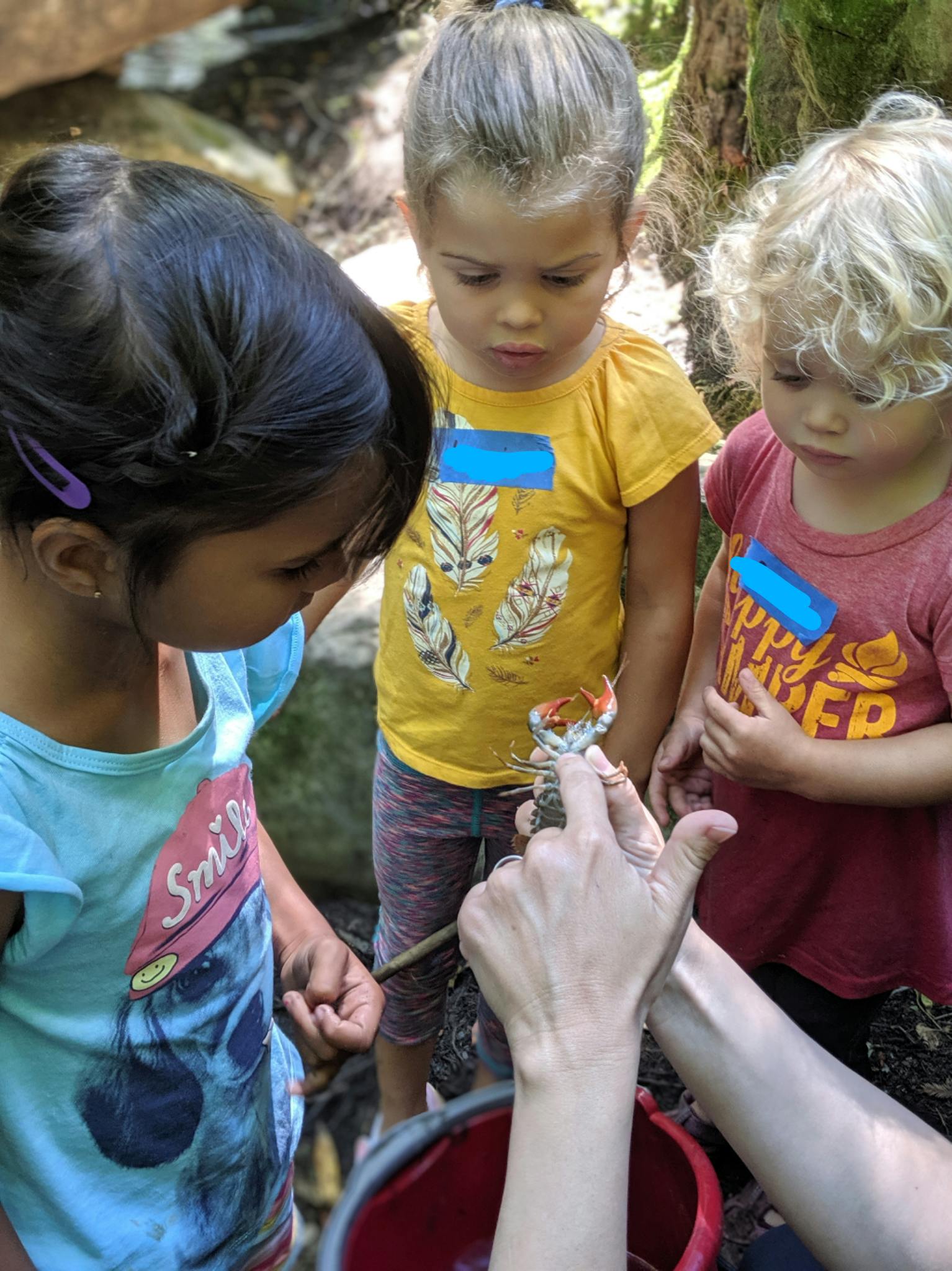 Los GatosSaratoga Observation Nursery School Preschool in Los Gatos