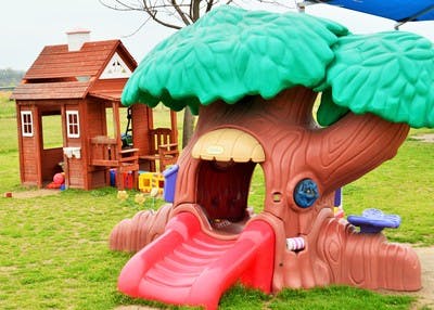 Playground with a tree-shaped slide and a small wooden playhouse