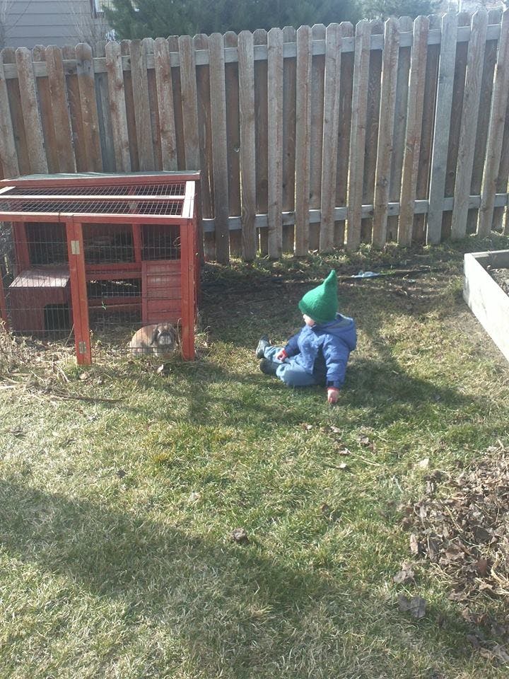 Child in green hat sitting on grass near a rabbit and hutch
