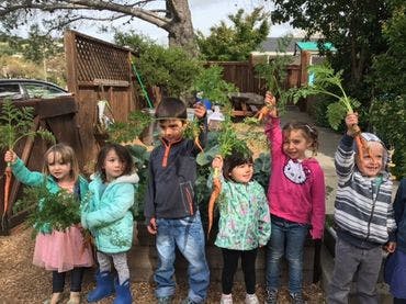 Six children holding up freshly harvested carrots in a garden