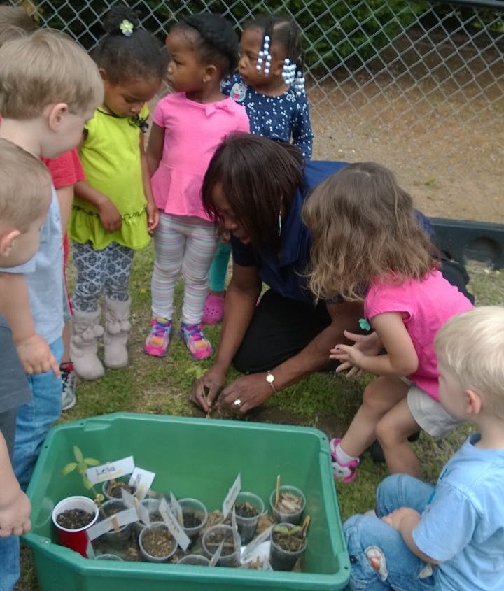 Adult and children planting seedlings in a green container