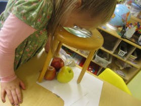 Child looking through a magnifying glass at apples on a table