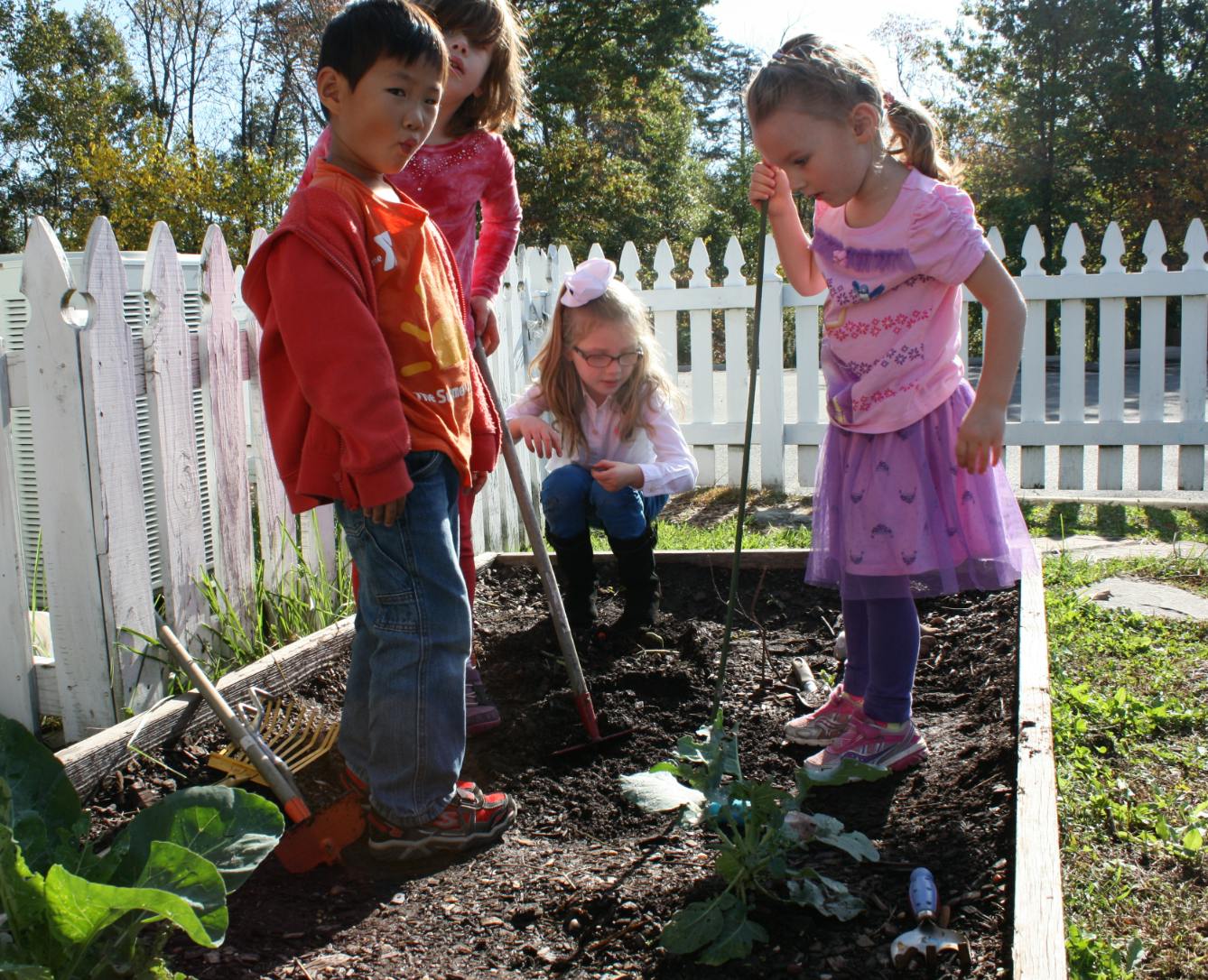 Children gardening in a raised bed